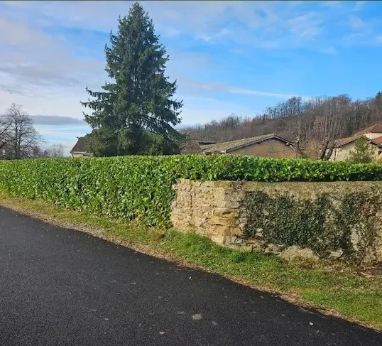 Photo après 1