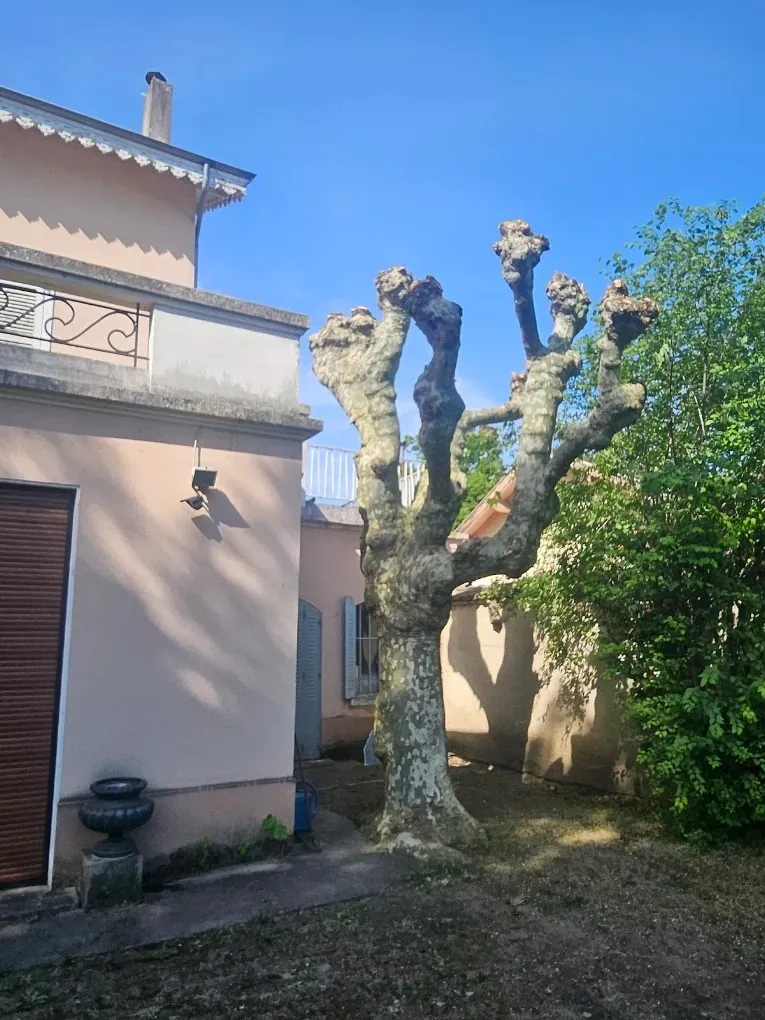 Photo après 2